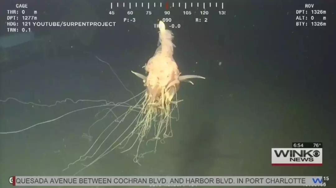 飞天意面神教在中国合法吗,飞天面条神教算不算宗教