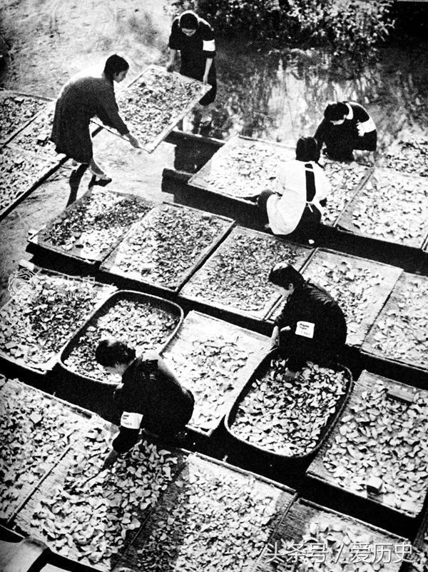 鏃ユ湰濂充汉鏀寔渚靛崕鎴樹簤,鏃ユ湰濡囧コ鏀寔渚靛崕鎴樹簤