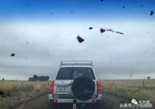 一款霸气十足的越野车日产途乐,日产途乐硬派越野车