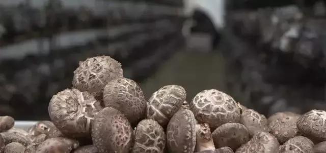 鸡蛋蒸着吃有几种方法,蒸鸡蛋怎么样蒸得能更牢一点