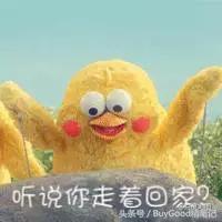 春运送福温暖旅途,春运火车暖心