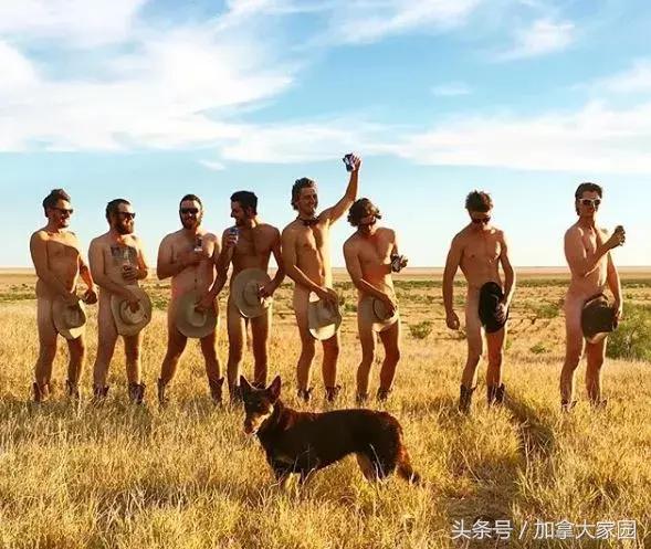 “劳动是最美的”！农民小哥农场“裸体庆丰收”火爆社交网络