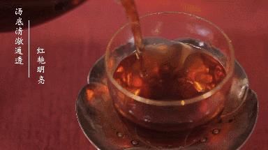 推荐好的熟普口粮茶有哪些,沱茶是生普还是熟普