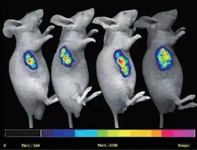 科技进步带给人类的福祉,科技进步带来利与弊