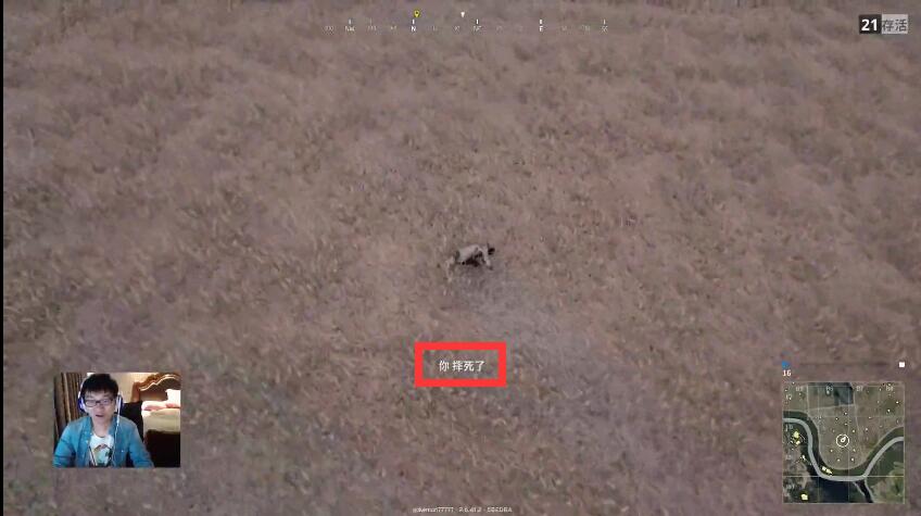 安德罗妮神仙机械成功吃鸡,安德罗妮和板娘一起玩吃鸡