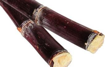 具有降低胆固醇的营养素是什么,不具有降血胆固醇作用的营养素是