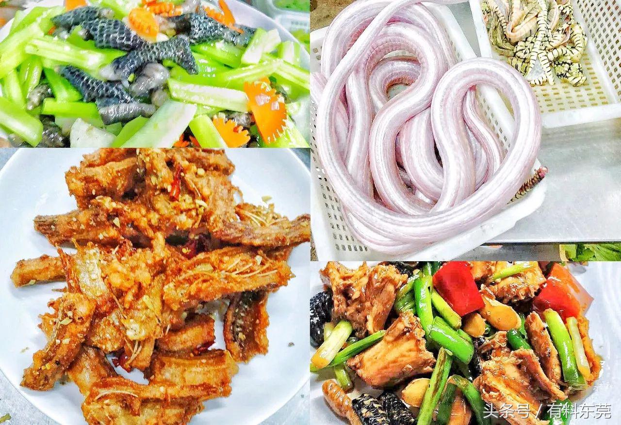 东莞某高校门口有间大排档，让你心甘情愿吃到怀孕！