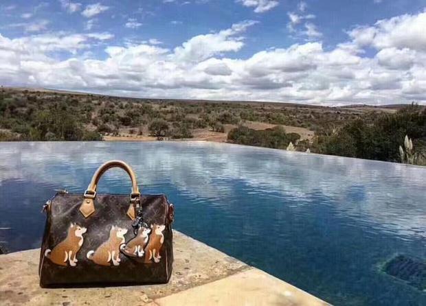 louisvuitton包包入门款 (louis vuitton牛皮单肩链条包)