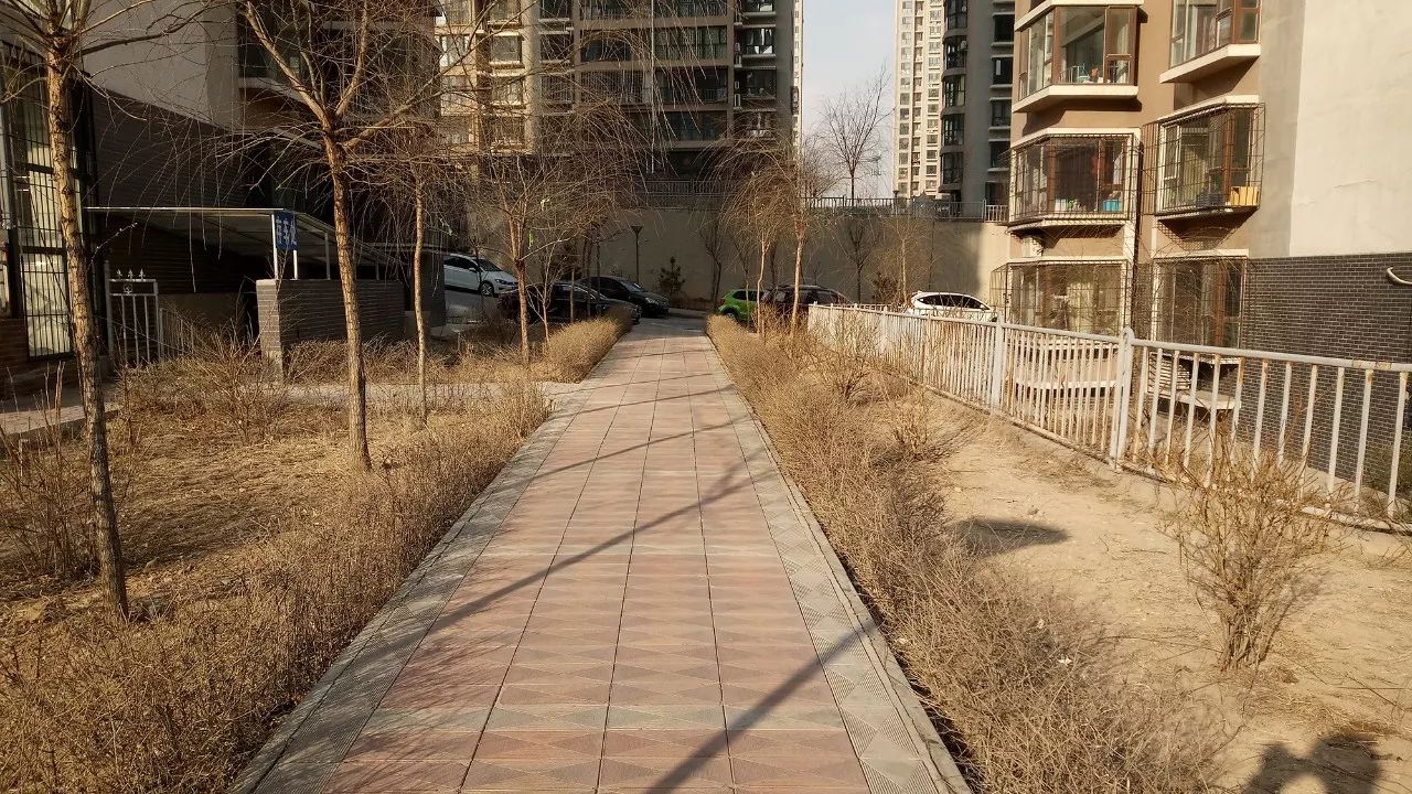 摩托罗拉MotoM手机评测耗电是软肋