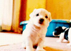 兰州疫情高发期是哪一年,兰州这几天的传染病