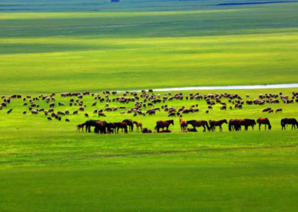 百万英雄出题需要答案么,百万英雄几道题