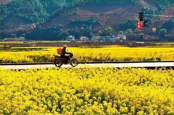 春节自驾山西旅游4-5天详细攻略,2019春节上海出发自驾旅游去哪里
