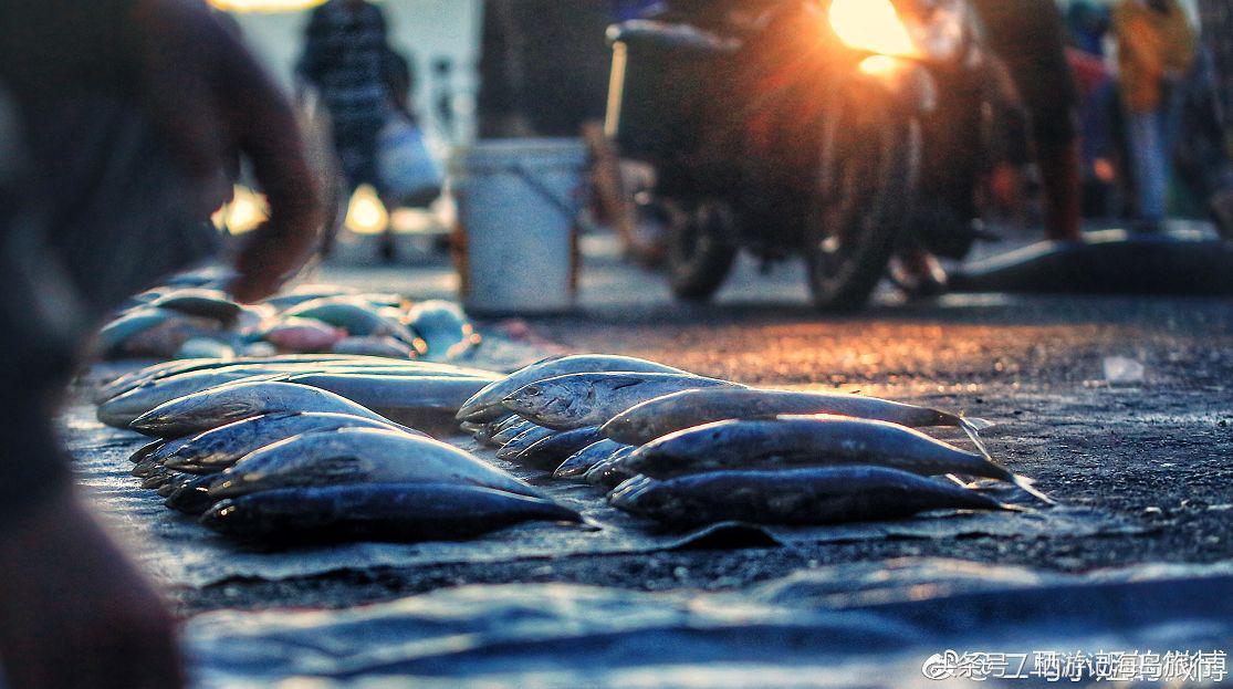 前任3林佳最后一个人出去旅游,前任3林佳走的片段