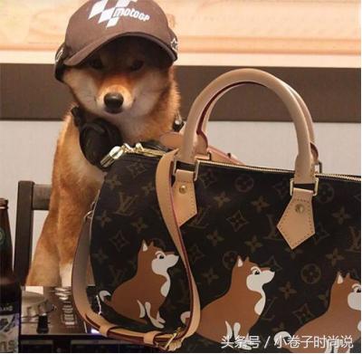 奢侈大牌的狗年限定款,最美的都在这里了