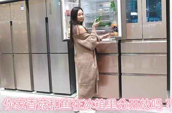 海尔干湿分储冰箱,全空间保鲜的冰箱推荐