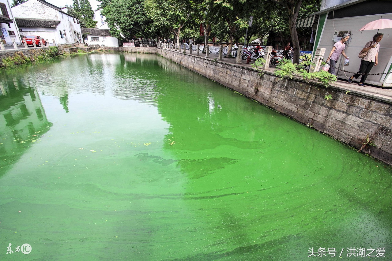 抬钓过河钓教程,四川抬钓过河钓