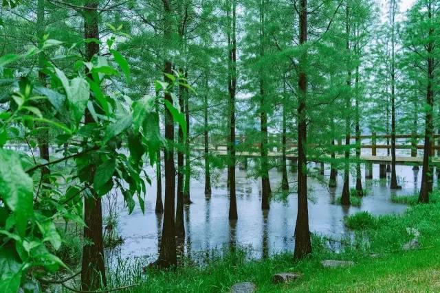 去过湖北的人,去过34个省的感受