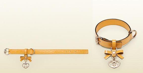 人不如狗系列：住着LV的狗袋，玩着八万元的宠物玩具