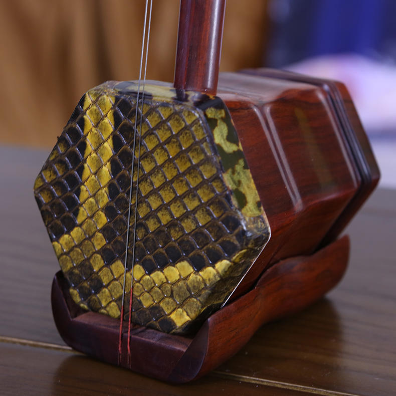 学几种乐器,学不同乐器给人的感觉