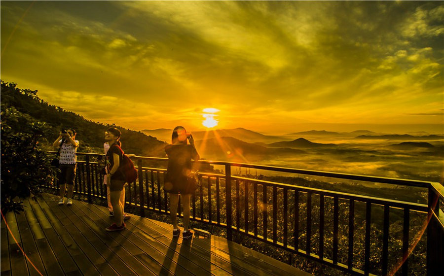 静谧山谷，流泉叠瀑︱呀诺达热带雨林