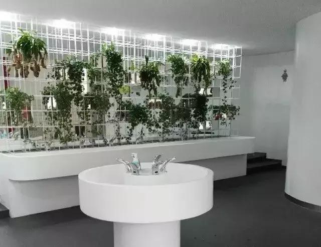 深圳这所口碑老牌民办小学：录取率超低！升学率超高！