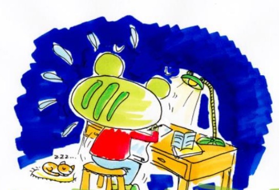 法本学渣，事业单位工作4年再战司考！