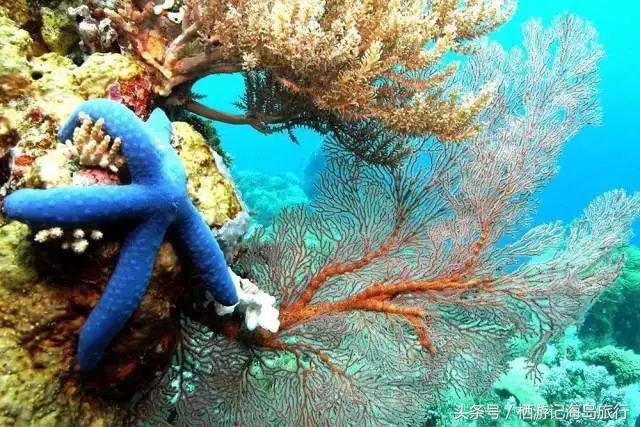 前任3林佳最后一个人出去旅游,前任3林佳走的片段