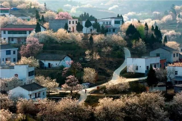 去过湖北的人,去过34个省的感受