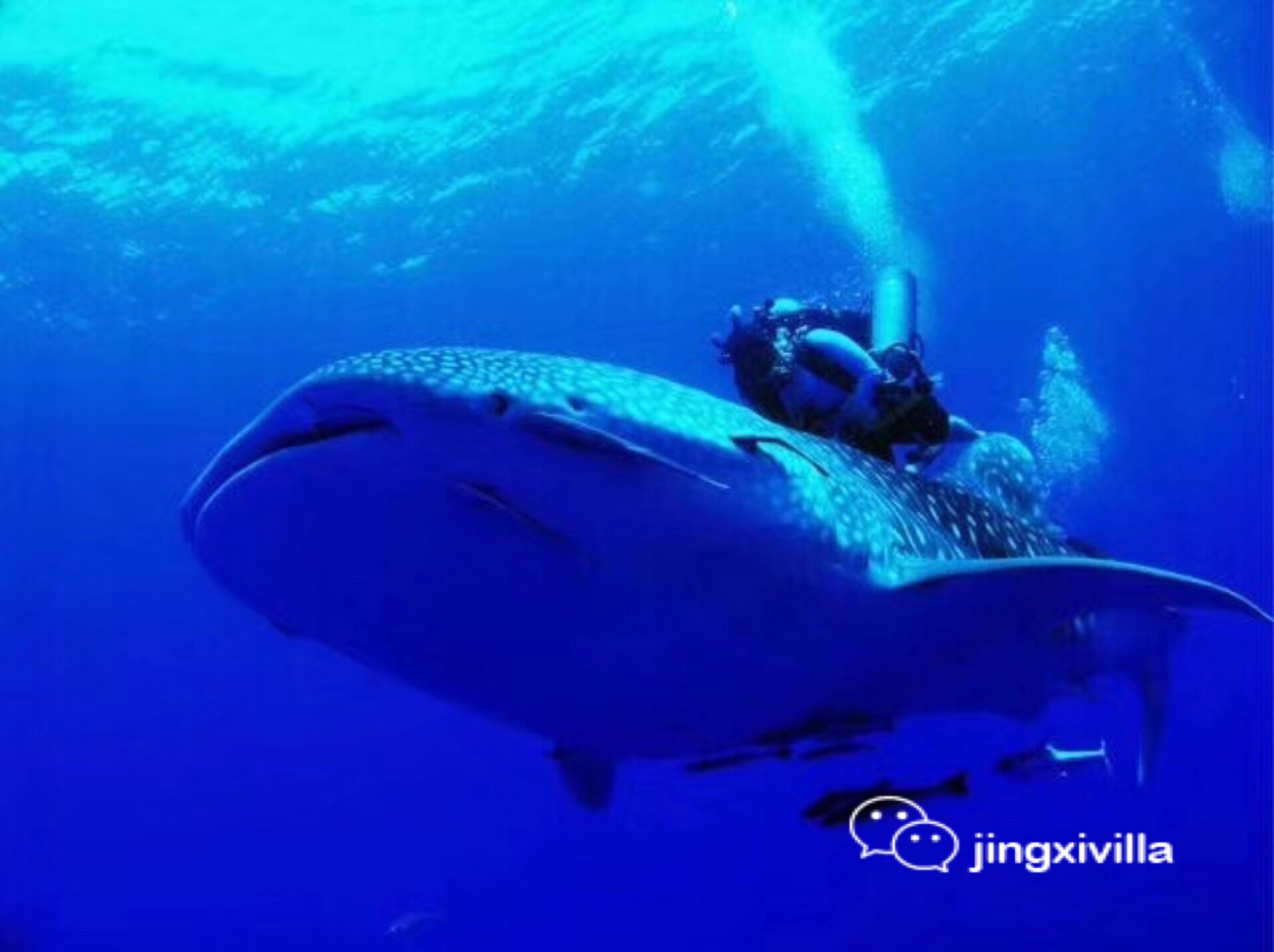 马尔代夫高性价比岛屿,马尔代夫一价全包岛有哪些