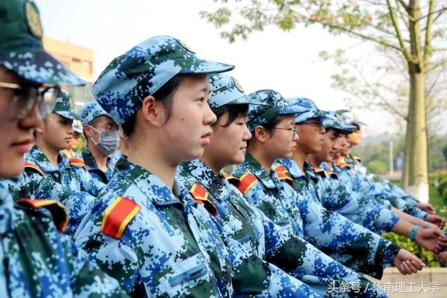 军训过程和军训心得,军训的成长仪式与感悟