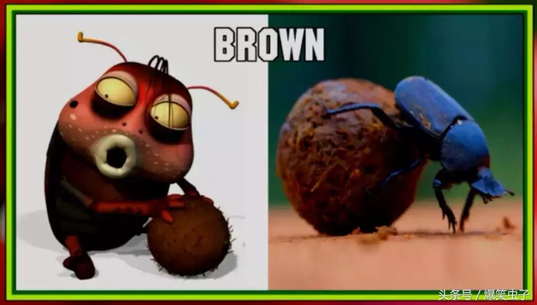 爆笑虫子小粉虫怎么来的,快速了解爆笑虫子
