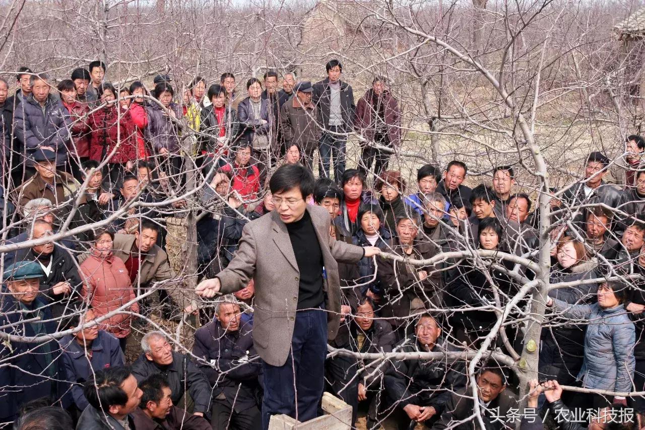 2021全国十佳农民公示名单,2021全国十佳高素质农民