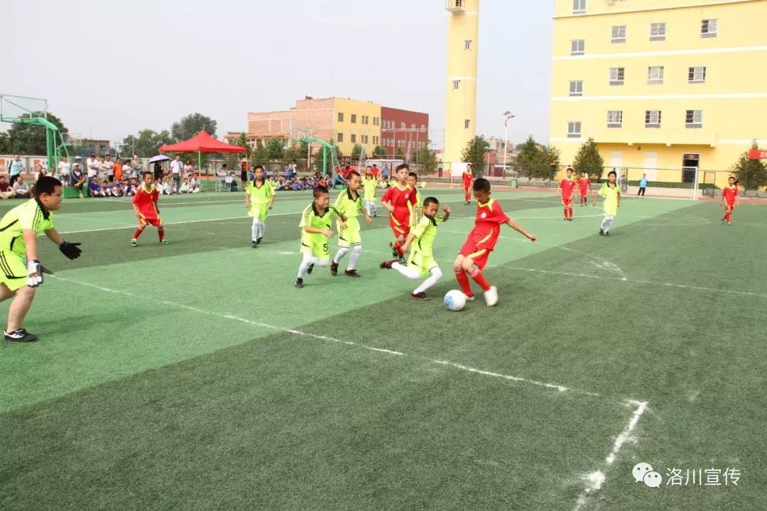 向人民日报举报有用吗,向人民报告全文