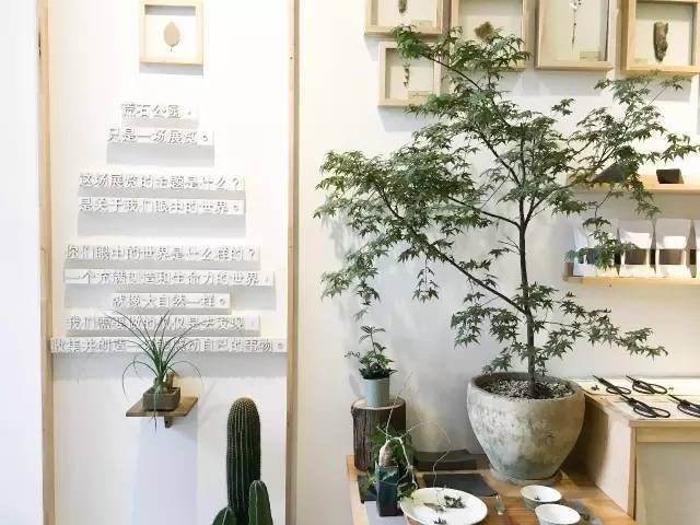 成都文艺惊艳的地方,成都最有文艺气息