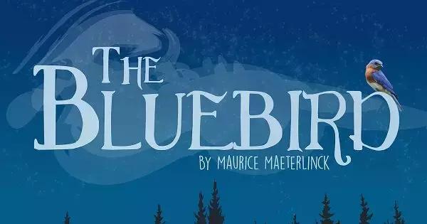 海鸥老鹰孔雀,海鸥老鹰