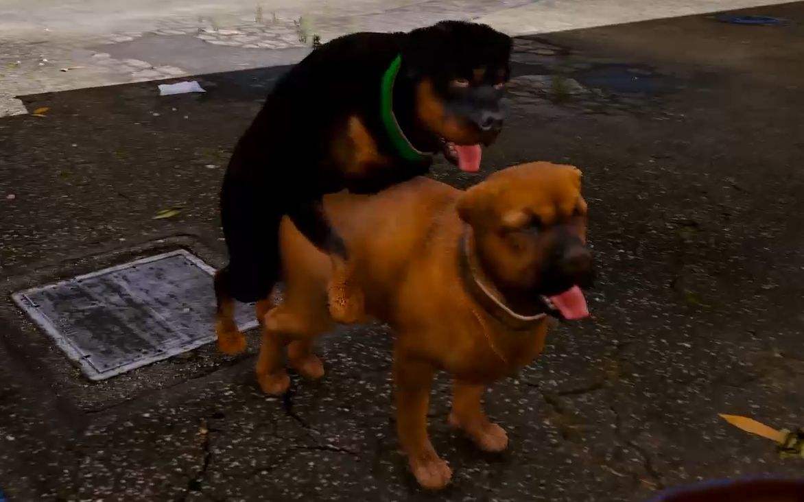 《侠盗猎车手6》的创新期盼增加“赛马、结婚、宠物”