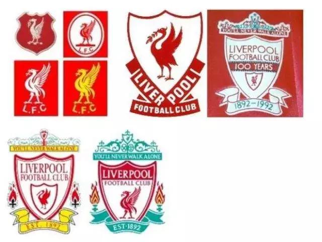 海鸥老鹰孔雀,海鸥老鹰