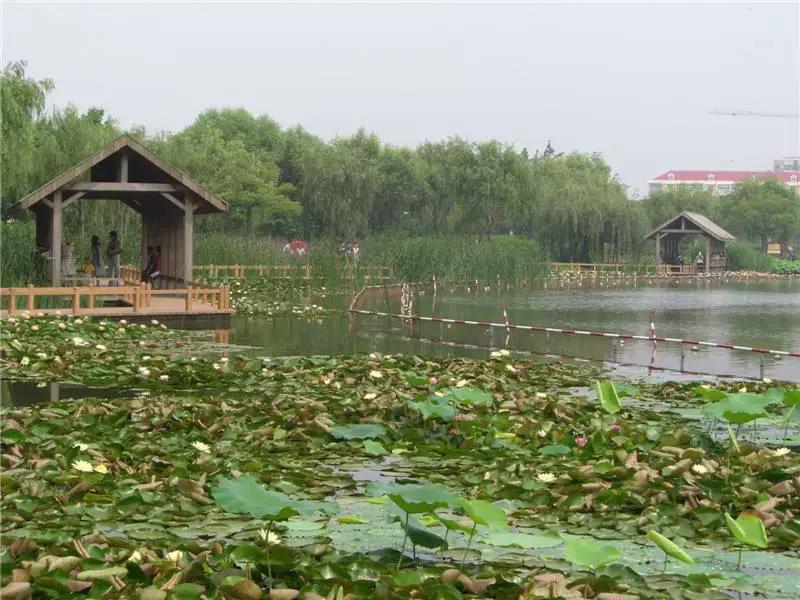 上海星级公园名单火热出炉,上海有什么5a级公园