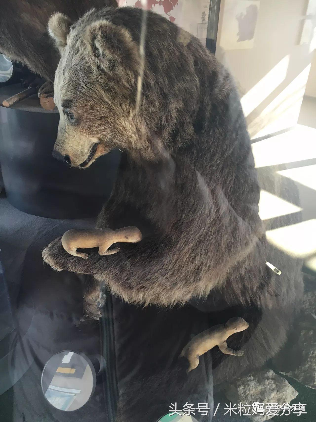 亲子游出境自由行,亲子游建议去的十个城市