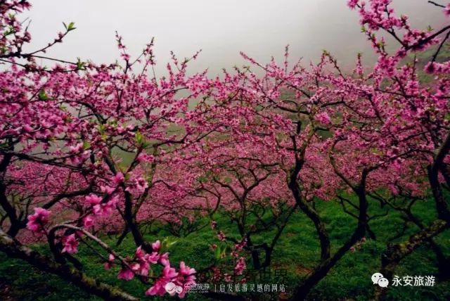 2018涓夋槑鏃呰鏃ュ巻,涓夋槑鏃呮父鏀荤暐鎬荤粨