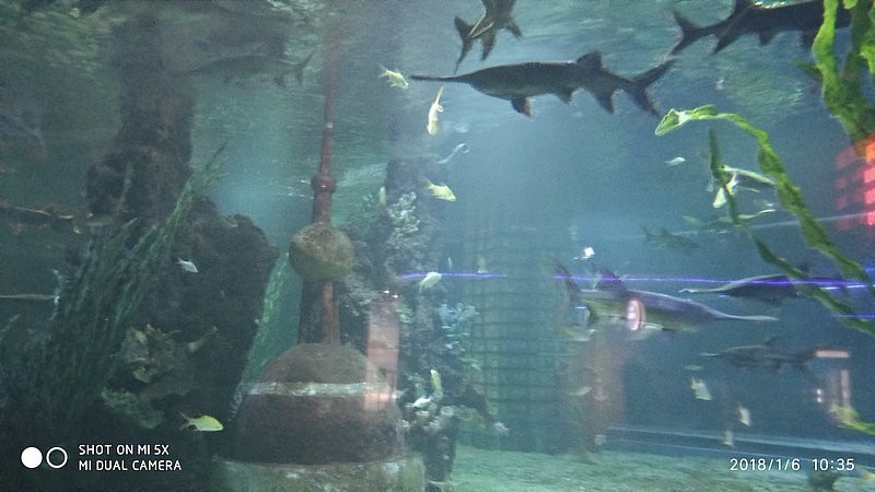 自驾游环游中国路线安徽出发,开封至安徽黄山自驾游攻略