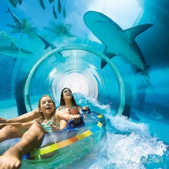 雅马哈奇葩,雅马哈属于哪个公司