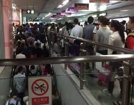 单身狗为什么要坐牢,单身狗开车违法吗