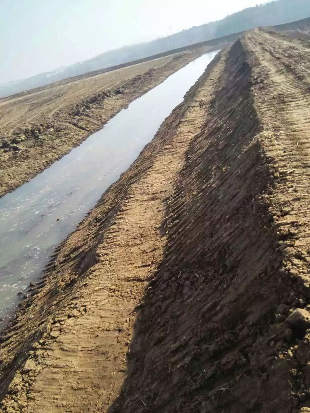 小龙虾养殖塘如何建设,养小龙虾田怎样建塘为好