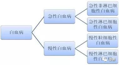 以为是感冒结果是肺结核,感冒就诊没发现白血病