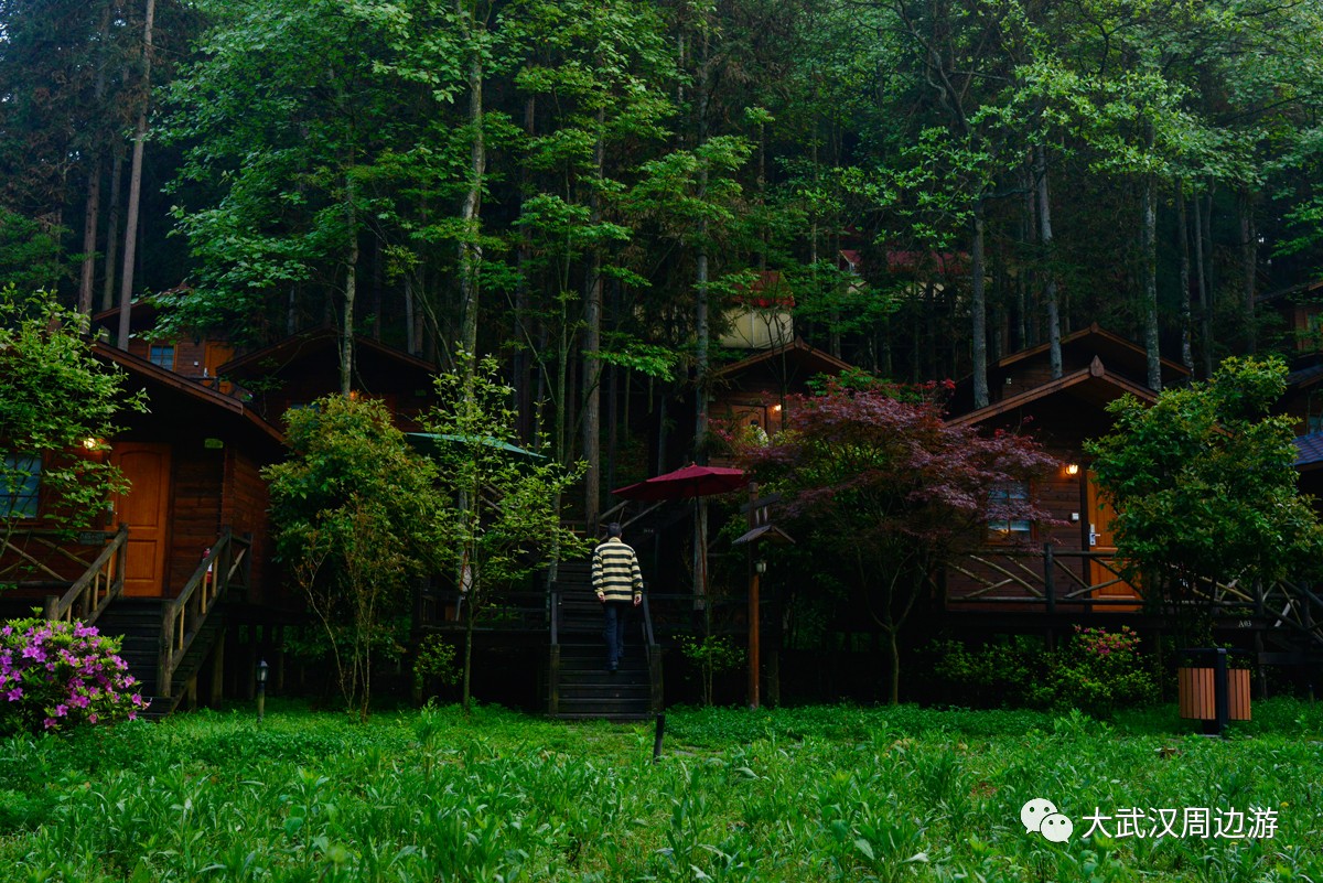 恩施免费景点2024,2018恩施