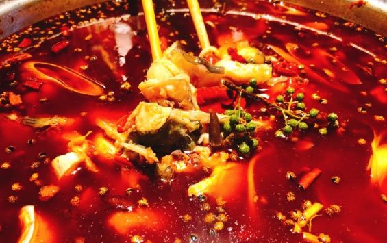 成都吃鱼最好吃的地方,成都吃鱼推荐