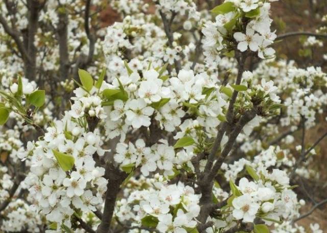 姹変腑鍧愰珮閾佺帺鐨勫ソ鍘诲,鍘绘眽涓帺濂借繕鏄幓骞垮厓鐜╁ソ