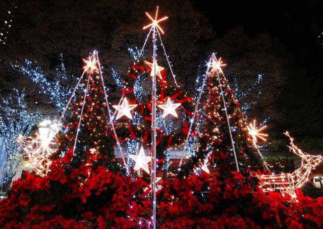 汉中一日游攻略高铁,汉中周边2-3天短途旅游坐高铁