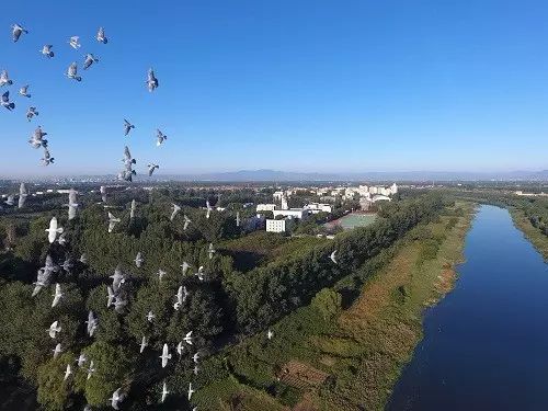 写同学活动的习作片段,小学三年级写集体活动的作文